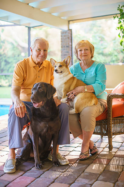 istock This is our family 491684576