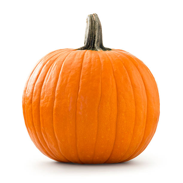 Pumpkin Large pumpkin photographed over white background. calabasas stock pictures, royalty-free photos & images