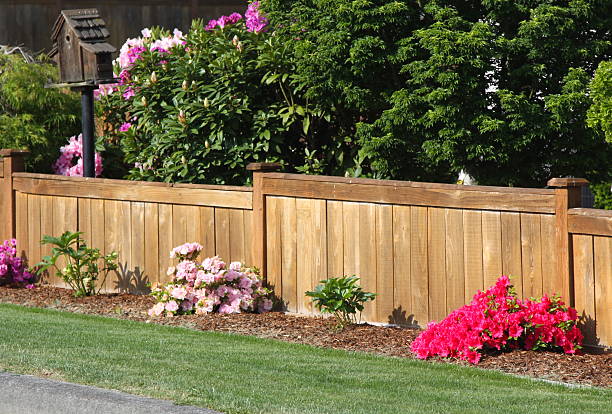 istock New Fence and Landscaping 491685093