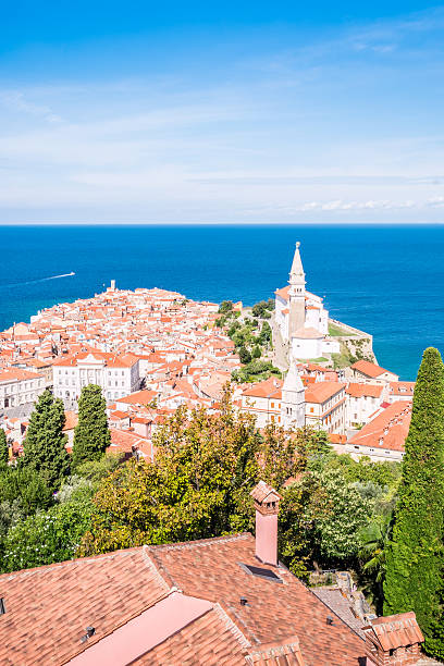 istock Panorama of beautiful Piran, Slovenia 491685292