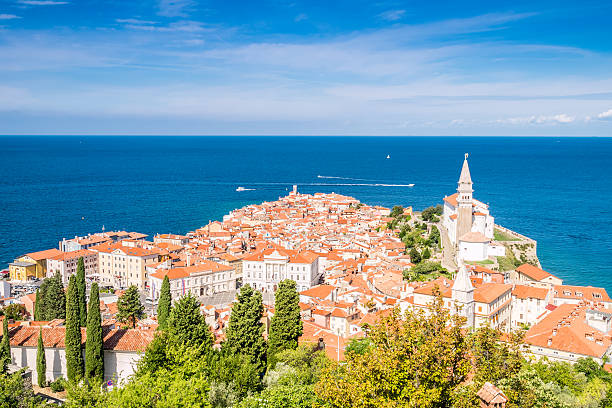 istock Panorama of beautiful Piran, Slovenia 491685584