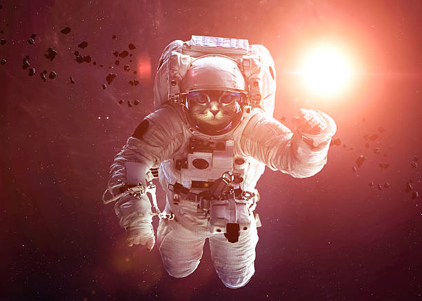 istock Beautiful cat in outer space. Elements of this image furnished 491695612