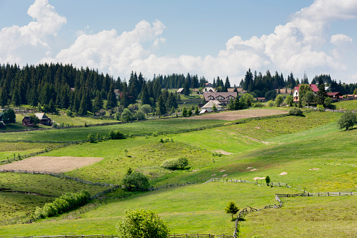 Forest and pasture landscape at Marisel in the Apuseni Mountains of Transylvania, Romania.