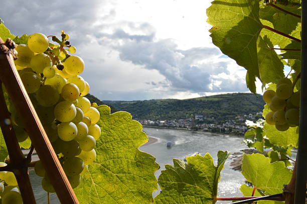 romantique le rhin - rhine gorge photos et images de collection