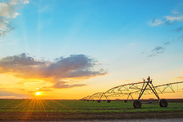 istock Automated farming irrigation system in sunset 491699188