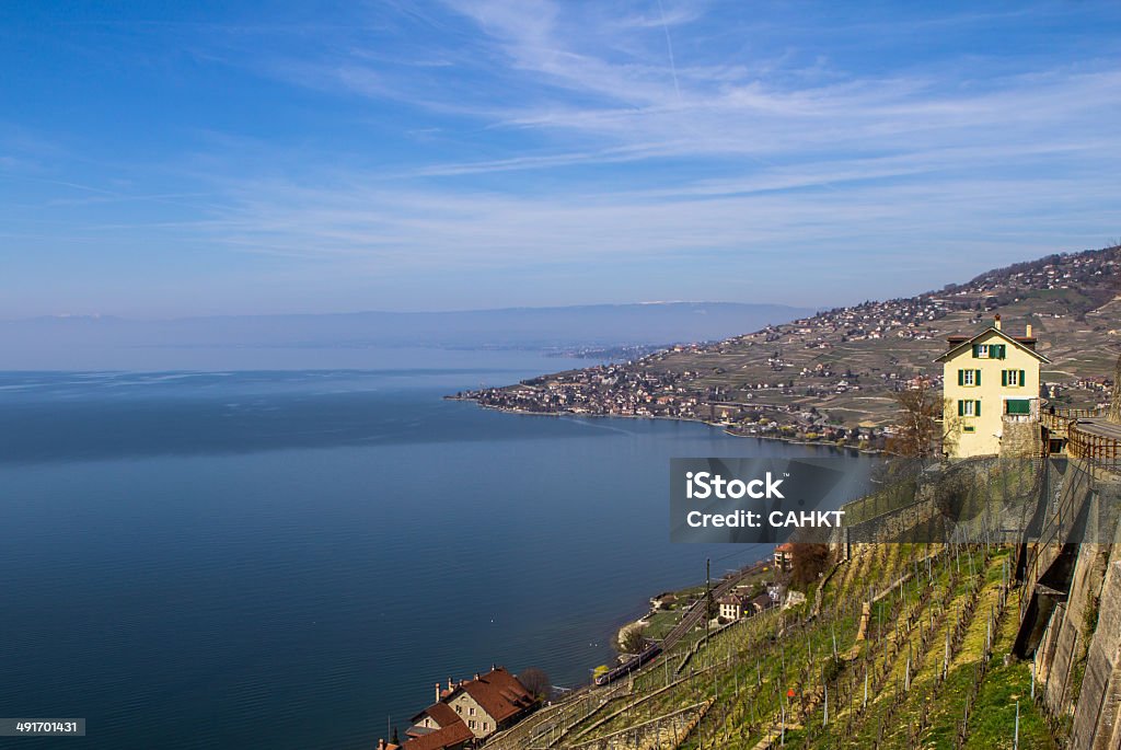 Dezaley Vineyards of the Lavaux region over lake Leman (lake of Geneva) Agriculture Stock Photo