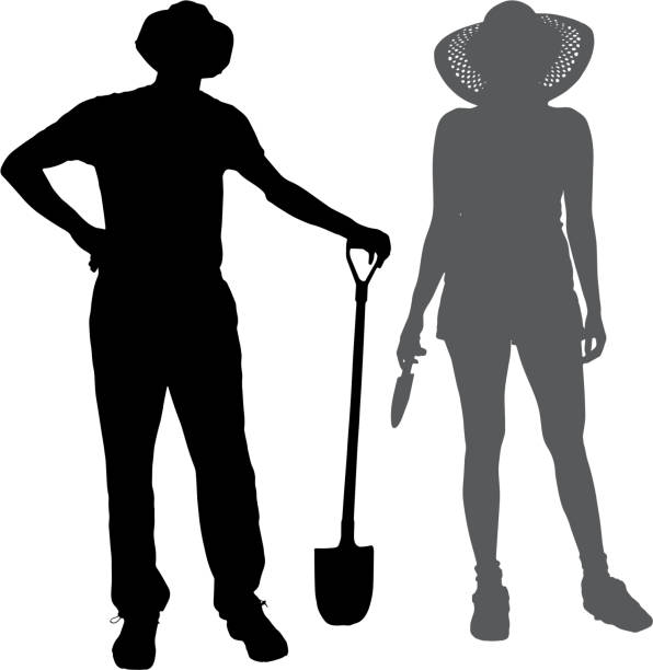 Vector silhouette of a gardener. Vector silhouette of a gardener on white background. farmer silhouettes stock illustrations