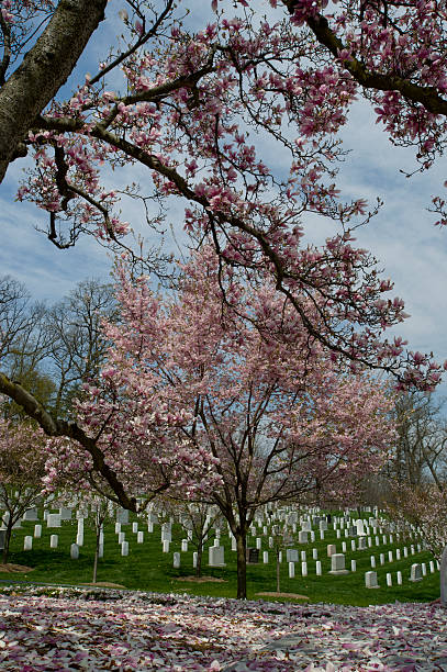 istock Arlington National Cemetery, Washington DC, USA 491704845
