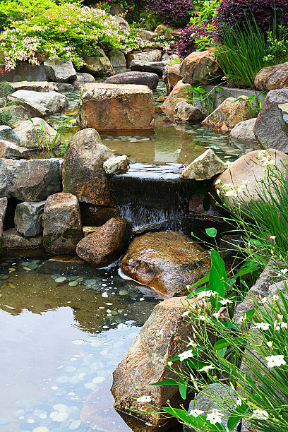 istock Small pond in a traditional Chinese garden 491705613