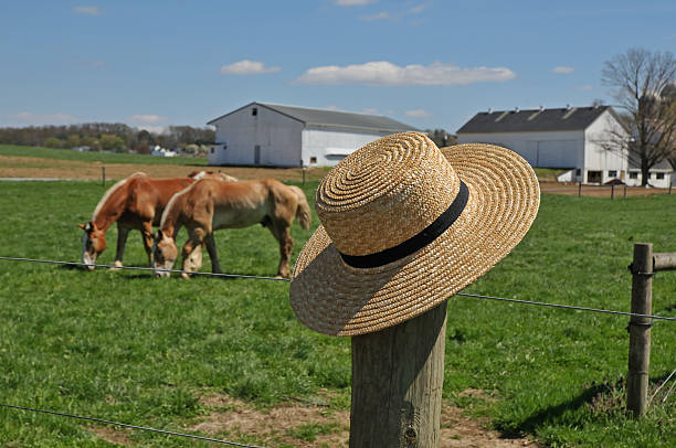 istock Amish hat on a farm fence post 491707409