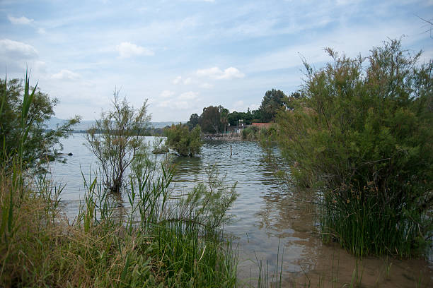 istock Kineret lake in Israel 491708505