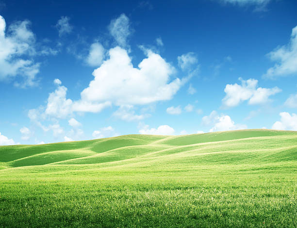 istock field of grass and perfect sky 491712634