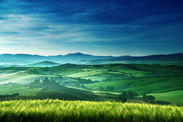 istock Early spring morning in Tuscany, Italy 491713034