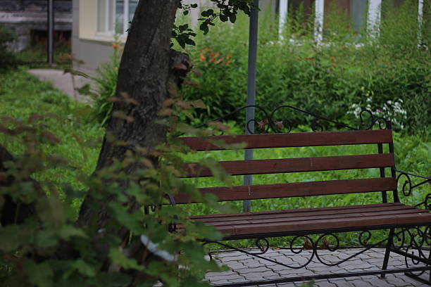 istock beautiful bench in the park 491713506