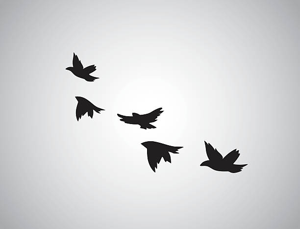 Vector Silhouette Flying Birds On White Background Tattoo Stock  Illustration - Download Image Now - iStock