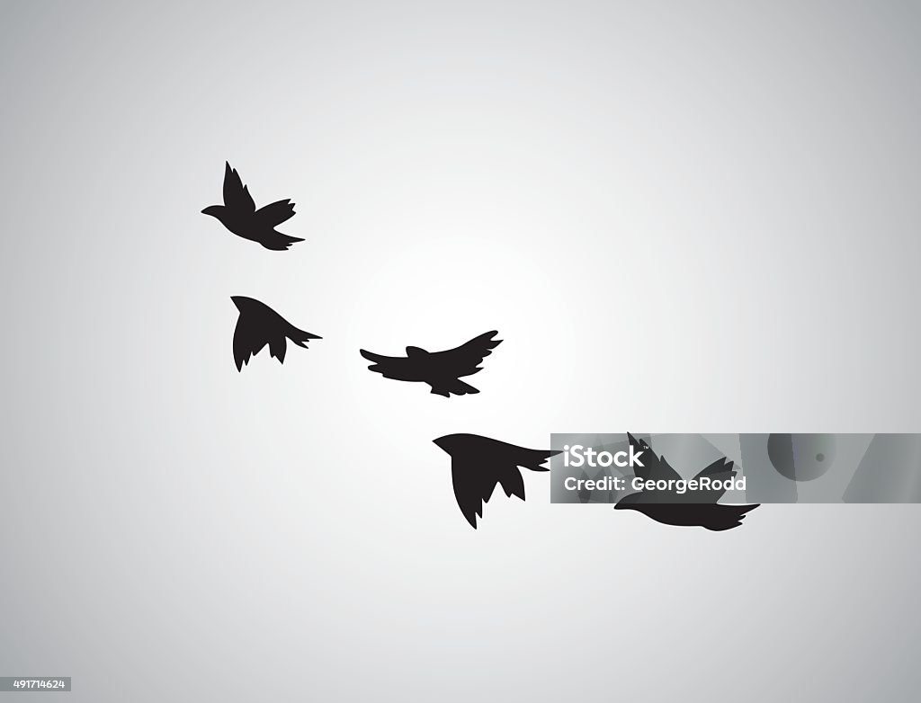 Hình Bóng Vector Chim Bay Trên Nền Trắng Xăm Hình minh họa Sẵn có ...
