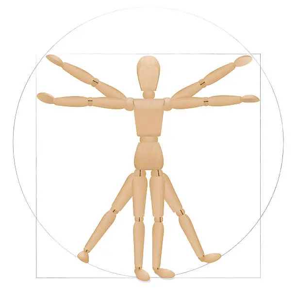 Vector illustration of Vitruvian Mannequin Wooden Figure