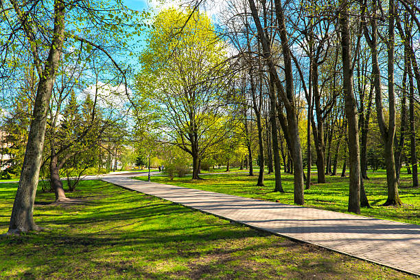 istock city park in spring sunny day 491726281