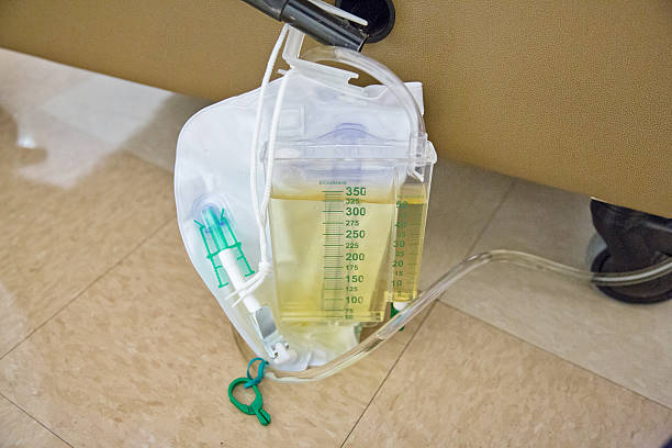 Urine drainage bag Urine drainage bag attached to a hospital bed.  RM catheter photos stock pictures, royalty-free photos & images