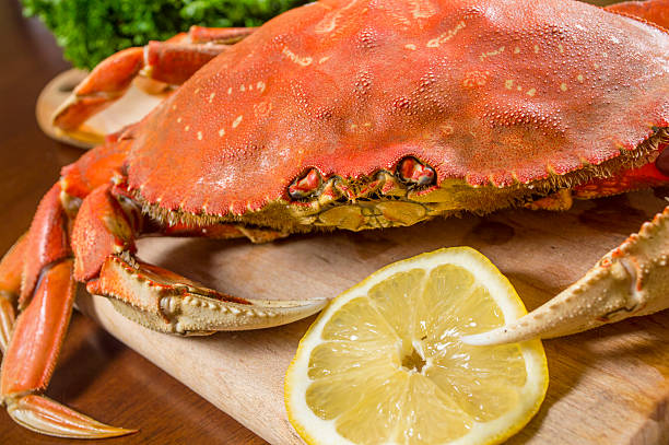 istock Close up of a Raw Dungeness Crab 491727413