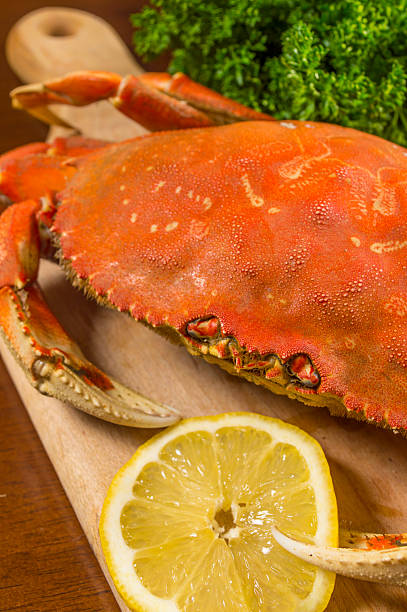 istock Close up of a Raw Dungeness Crab - vertical 491727417