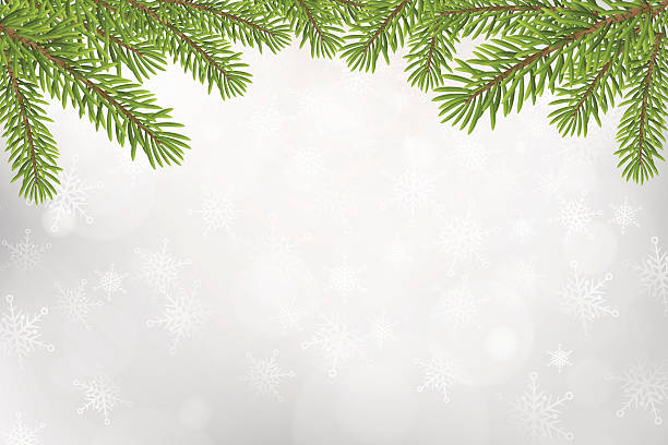 Christmas tree top frame isolated on silver blurred background vector art illustration