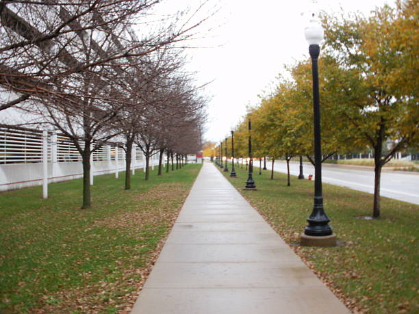 istock Autumn Afternoon in Chicago 491727726