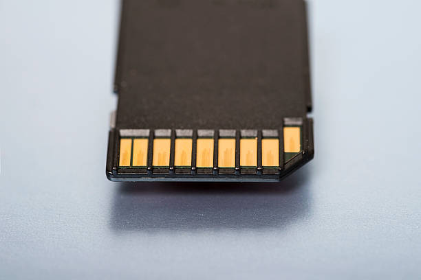 SD memory card close-up A stylistic close-up of an SD memory card on a neutral background spatholobus suberectus dunn stock pictures, royalty-free photos & images