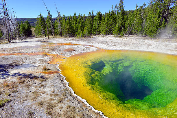 istock Morning Glory Hot Spring. Upper Geyser Basin, Yellowstone National Park 491728768