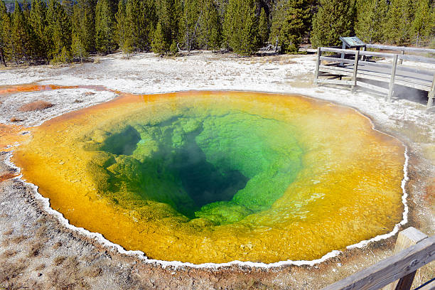 istock Morning Glory Hot Spring. Upper Geyser Basin, Yellowstone National Park 491728822
