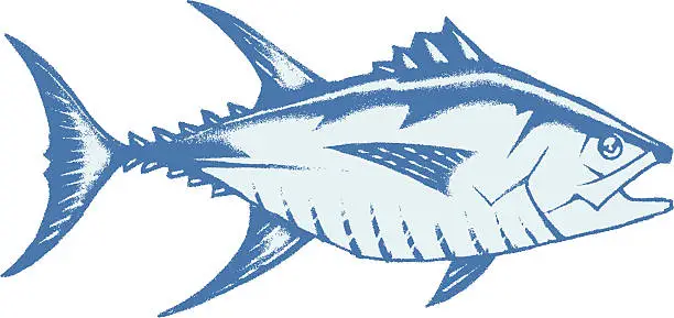 Vector illustration of tuna art