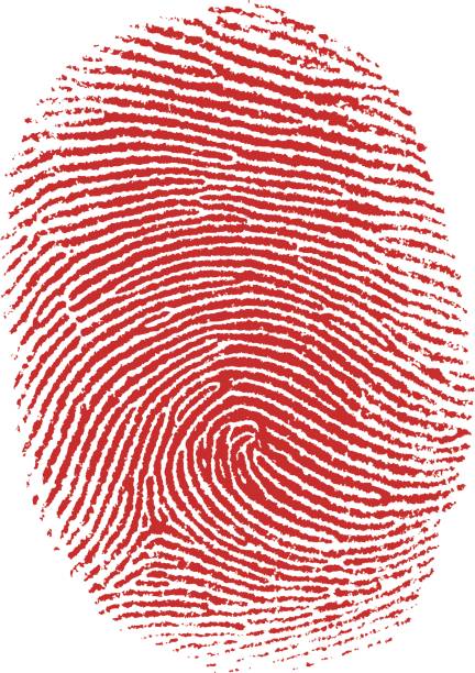 ilustrações, clipart, desenhos animados e ícones de impressão digital do polegar - fingerprint thumbprint identity red
