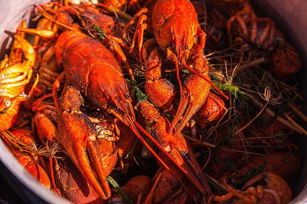 istock crayfish for beer, boiled crustaceans, crayfish, beer snacks, go 491729942
