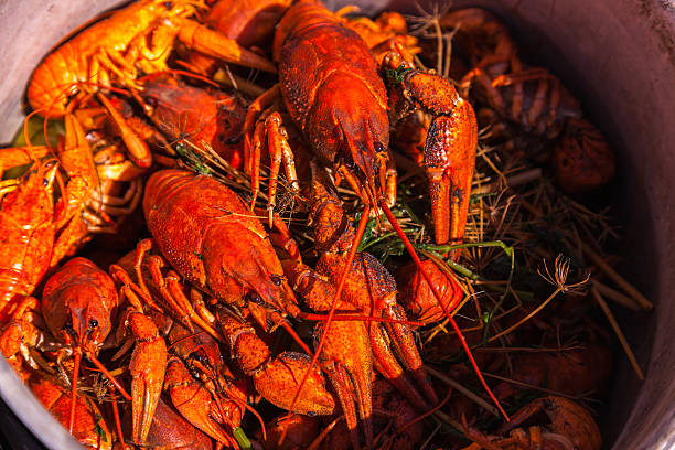 istock crayfish for beer, boiled crustaceans, crayfish, beer snacks, go 491730016