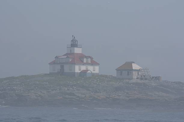 House in the fog stock photo