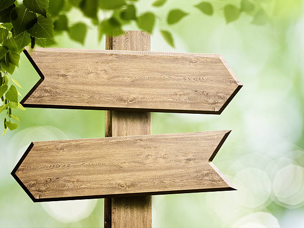istock Wooden sign over abstract natural backgrounds 491730202