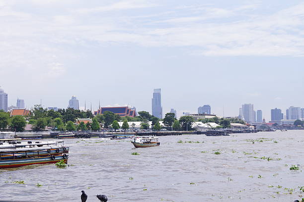 istock Chao Phraya River in Thailand 491731110