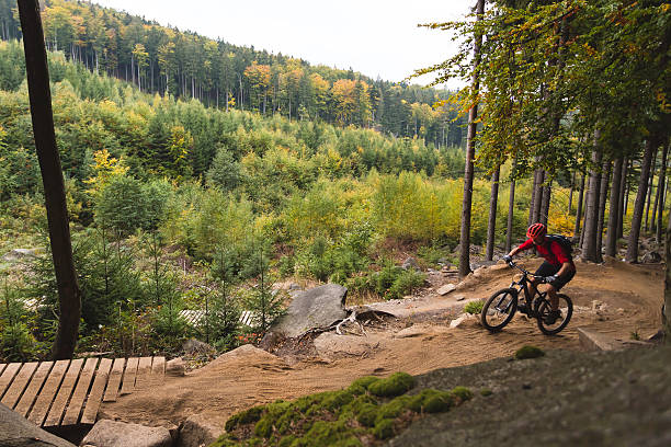 istock Mountain biker riding cycling in autumn forest 491731922