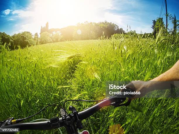 Mountain Bike Immerso Nella Natura Selvaggia - Fotografie stock e altre immagini di Affondato - Affondato, Ambientazione esterna, Andare in mountain bike