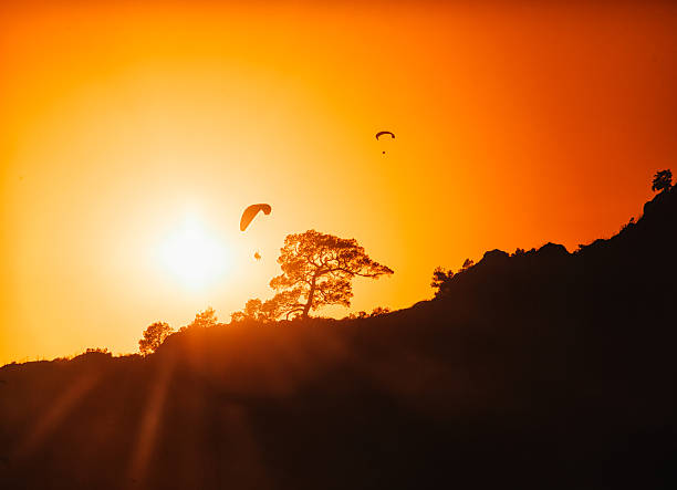 실루엣 of paraglidings 및 네이쳐향 오렌지색 하늘을 배경으로 해질녘 - sunspot grass area tree sun 뉴스 사진 이미지