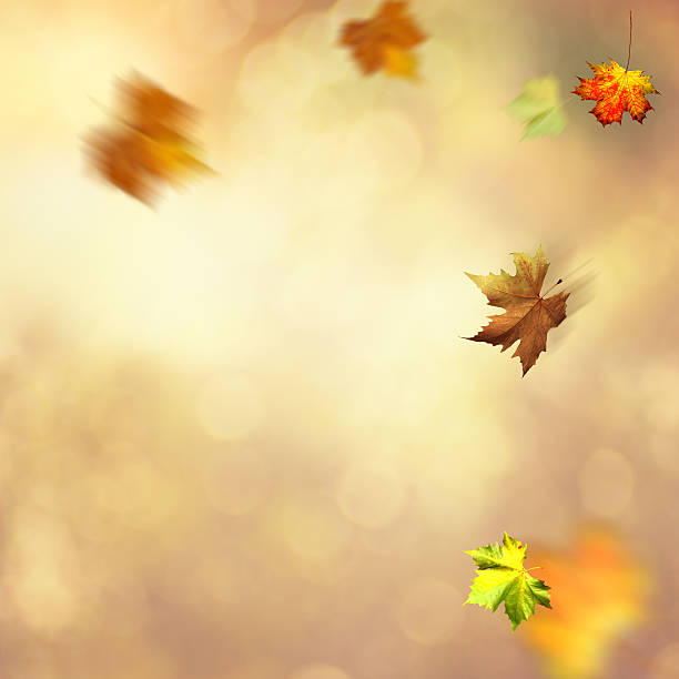 istock Autumnal fall. Abstract seasonal backgrounds 491746404