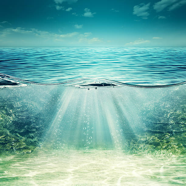 istock Deep blue ocean. Abstract underwater backgrounds for your design 491746422
