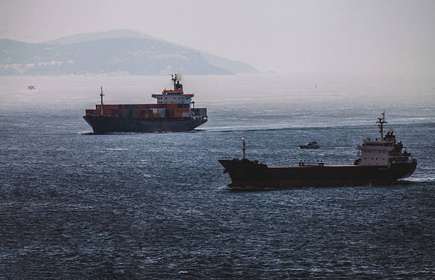 istock Freight Transportation on SeaFreight Transportation on Sea 491746884