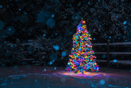 A tranquil scene of a multi-colored LED lights on Christmas tree at night while it is snowing, with a split rail fence and tree line in the background covered in snow. There is foot prints in the snow leading up to and around the tree.
