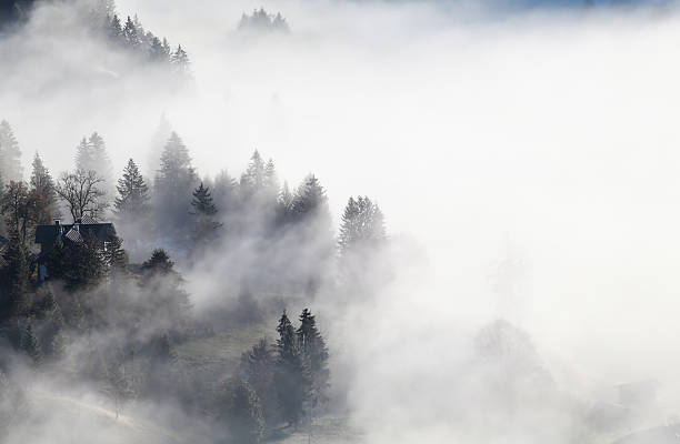 istock Bavarian mountain village in dense fog 491749360