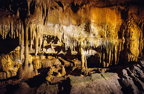 parc national de mammoth cave - réseau mondial de réserves de biosphère photos et images de collection