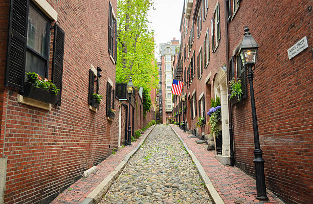 istock Acorn Street 491749784