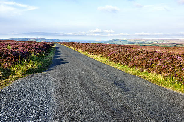 istock Road across the Yorkshire Moors in Summer 491749786