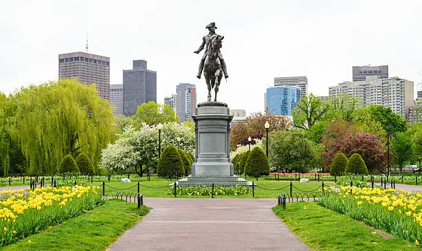 Photo of Boston Common