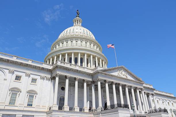 국립 카피톨 - washington dc capital capitol building usa 뉴스 사진 이미지